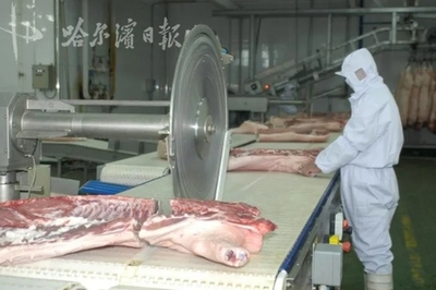 肉来了!多部门助力,哈大众肉联全面复产